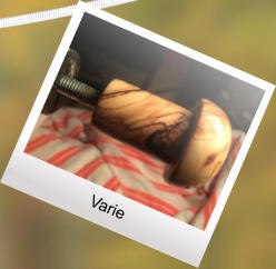 Varie