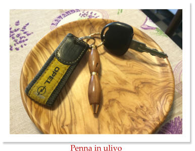 Penna in ulivo